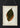 Acalypha Tricolor - Poster di foglie rare