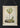 Affiche vintage d'arbre Livistona Inermis