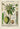 Coconut Palm Tree Plant Poster