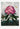 Le rhododendron pontique du temple de la flore