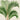 Kentia Sapida-Palme von Pieter Joseph de Pannemaeker