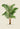 Impresión del arte de la palmera Areca Bauer de Pieter Joseph de Pannemaeker