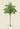 Areca Monostachya Palm Tree Art Print by Pieter Joseph de Pannemaeker