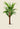 Hyphorbe Amaricaulis Palme Kunstdruck von Pieter Joseph de Pannemaeker