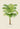 Geonoma Gracilis Palm Tree Art Print by Pieter Joseph de Pannemaeker