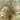 Palmera Filicinae de Ernst Haeckel Póster con bordes