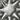 Póster Diatomea de Ernst Haeckel