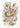 Póster Nepenthaceae por Ernst Haeckel