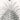 Nadelbäume von Ernst Haeckel Poster