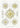 Póster Acanthometra de Ernst Haeckel