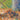 Haymakers en Montfermeil Lámina de Georges Seurat