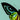 Impressão artística de borboleta verde Birdwing