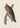 Hibou moyen-duc des oiseaux d'Amérique Poster