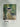 Affiche de l'exposition Madame Manet par Manet