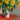 Strauß Sonnenblumen von Claude Monet Kunstausstellungsplakat