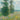 Mohnfelder in der Nähe von Argenteuil von Claude Monet Kunstausstellungsplakat