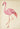 Antique Pink Flamingo Poster
