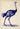 Affiche d'autruche bleue antique
