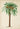 Antique Palm Tree IV Poster