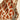 Antikes Giraffenplakat