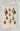 Cartaz de Carta de Moluscos de Conchas Conchas do Mar
