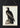 Great American Sea Eagle - Birds of America Poster