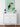 Toucan du Para auf grünem Plakat