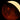 Astronomische Illustration der Mondfinsternis