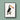 Toucan Animal Print