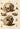 Tableau antique du crâne humain